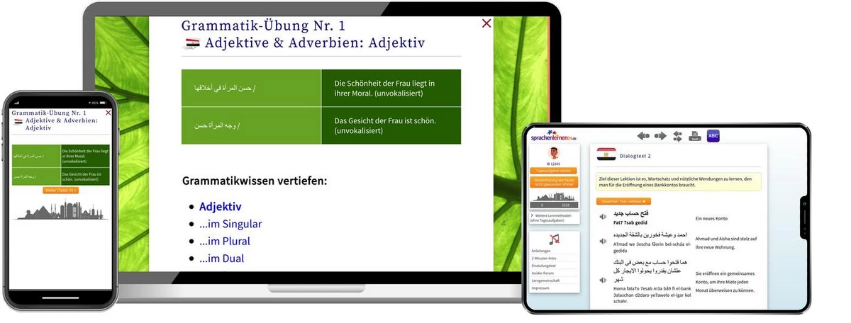 Sprachenlernen24 Online-Sprachkurs Ägyptisch Screenshot