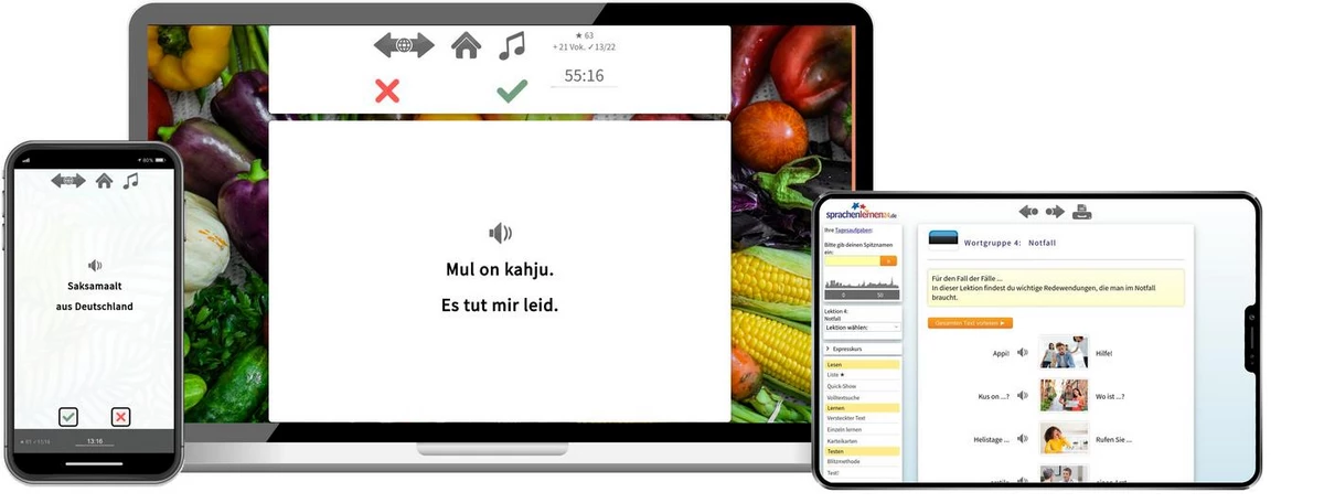 Sprachenlernen24 Online-Sprachkurs Estnisch Screenshot