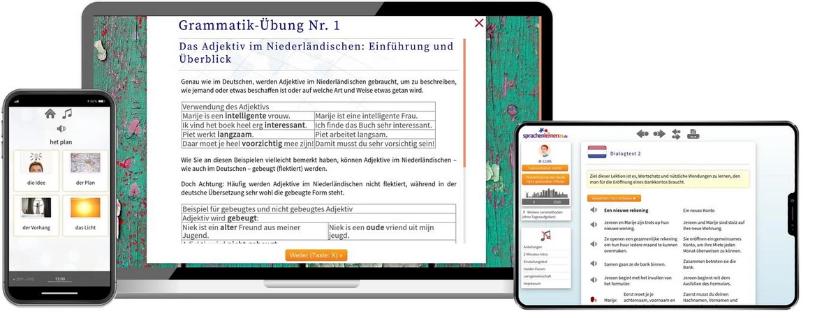 Sprachenlernen24 Online-Sprachkurs Niederländisch Screenshot