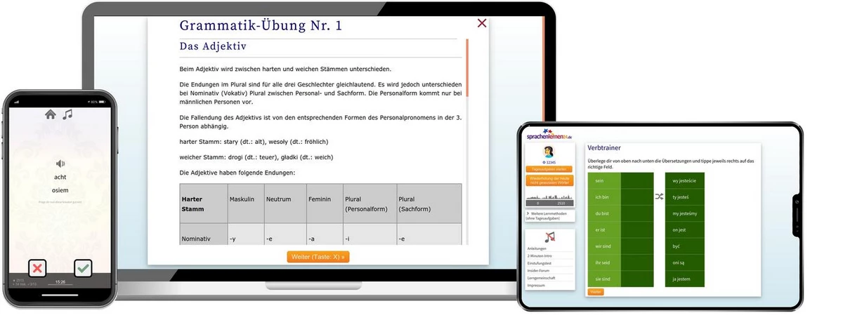 Sprachenlernen24 Online-Sprachkurs Polnisch Screenshot