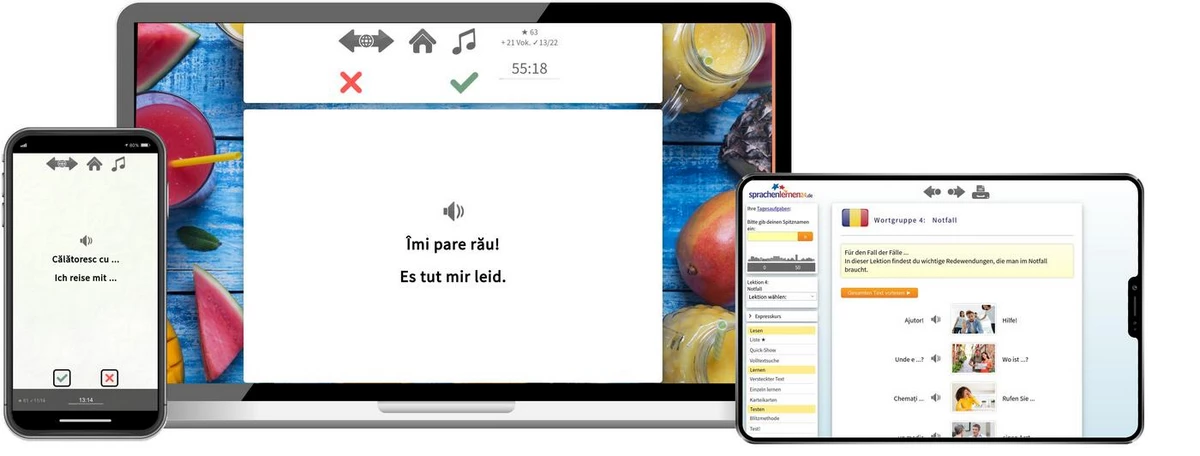 Sprachenlernen24 Online-Sprachkurs Rumänisch Screenshot