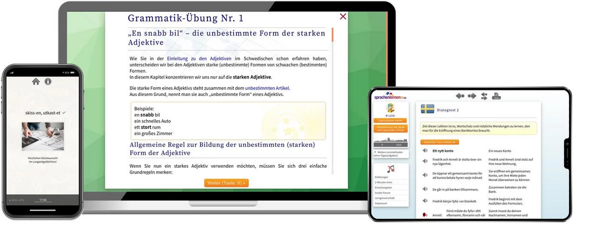 Sprachenlernen24 Online-Sprachkurs Schwedisch Screenshot