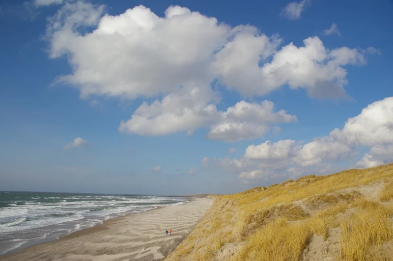 Spezialwortschatz für Natur und Geographie Strand und Dünen in Dänemark. Foto: Pixabay, CC0
