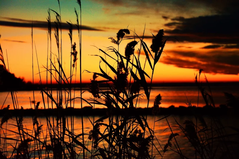 Spezialwortschatz für Natur und Geographie Sonnenuntergang am Balaton (Plattensee) in Ungarn. Foto: Pixabay, CC0