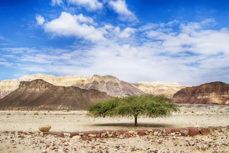 Spezialwortschatz für Natur und Geographie Timna Nationalpark im Süden von Israel. Image by Jim Black from Pixabay