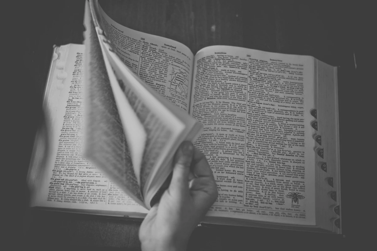 Wörterbücher sind nützliche Helfer beim Erlernen einer Sprache (Symbolbild). Foto: StockSnap, CC0