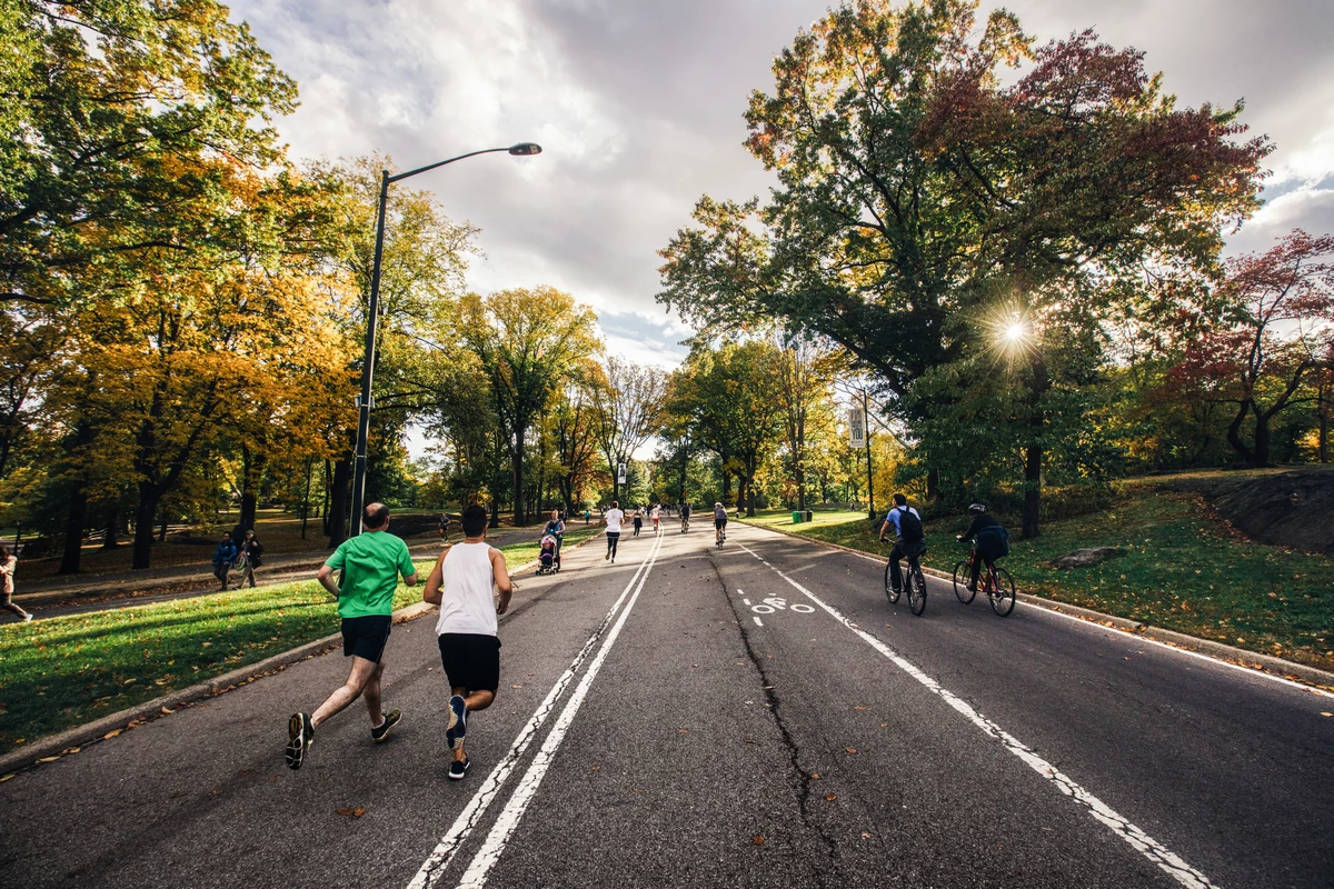 Running Biking Road Trees Fitness Sport. Foto: StockSnap, CC0