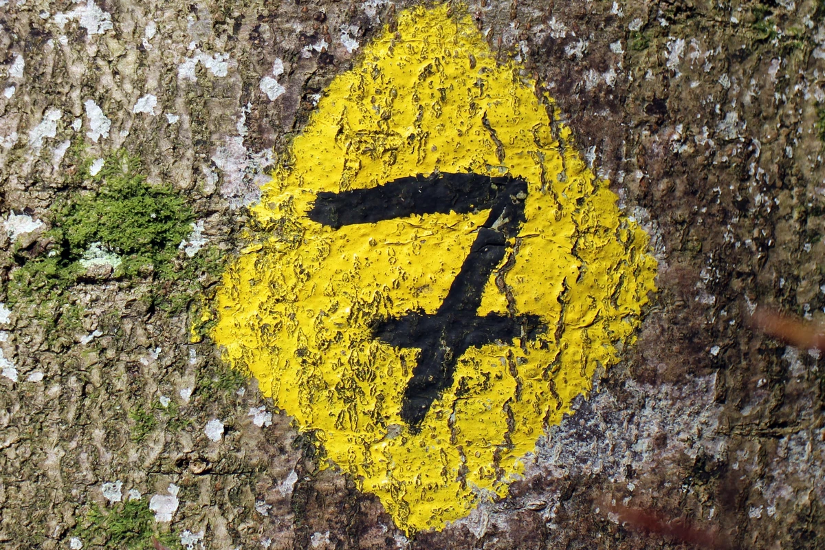 Number Seven Nummer 7. Foto: Pixabay, CC0