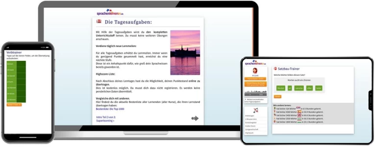 Dänisch Basiskurs für Anfänger Sprachenlernen24 Online-Sprachkurs Dänisch Screenshot