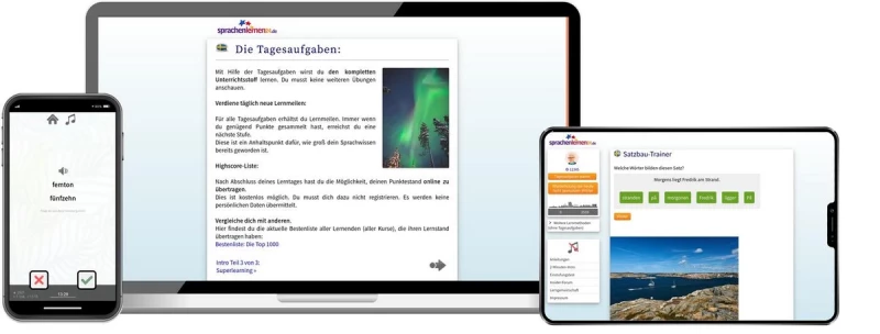 Sprachenlernen24 Online-Sprachkurs Schwedisch Screenshot