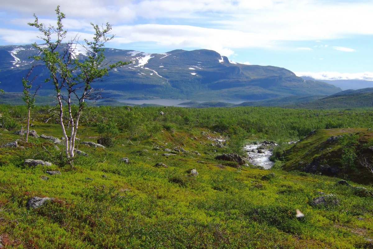 Der See Kårtejaure und der Fluß Njabbejåkkå im Stora Sjöfallet Nationalpark in Schweden. Foto: Wikimedia Commons, CC0