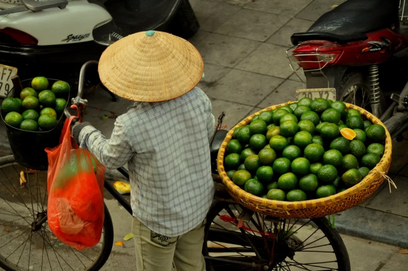 Spezialwortschatz für Städtereisen Marktfrau, Hanoi, Vietnam. Foto: Pixabay #1072242, CC0